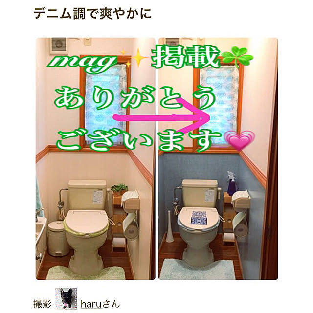 haruさんの実例写真