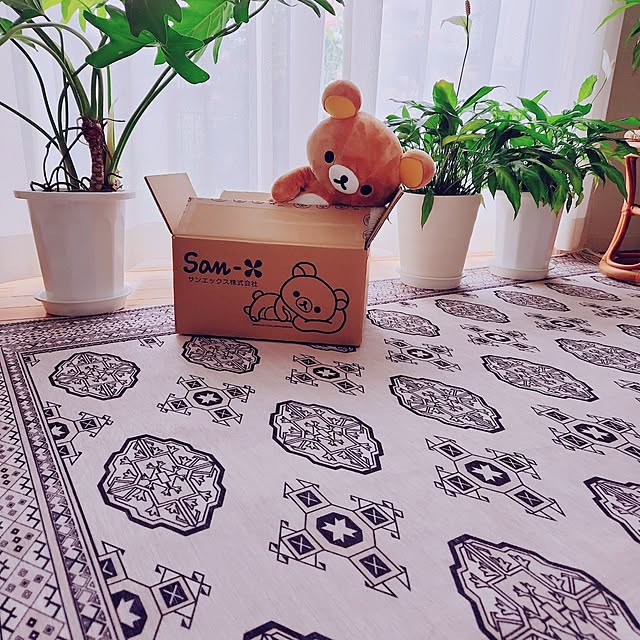 surviveさんの部屋