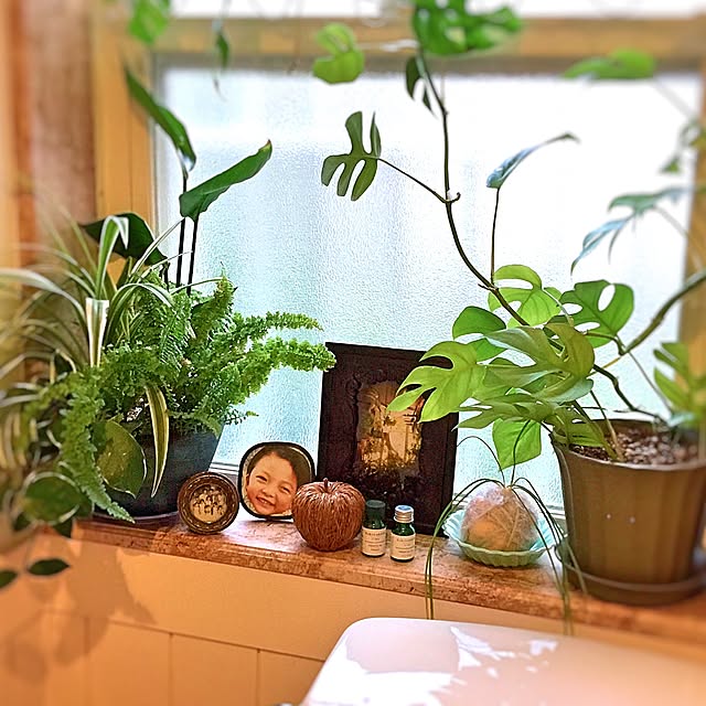 satochanさんの実例写真