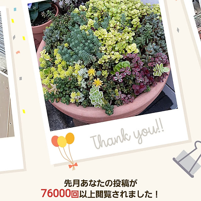 amtさんの実例写真