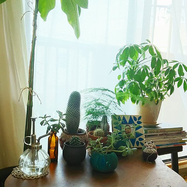 naoさんの実例写真
