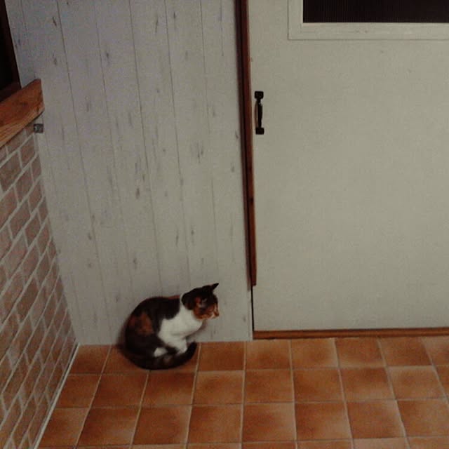 shinoさんの実例写真