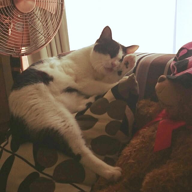 部屋全体のインテリア実例 - 2015-08-18 06:45:56