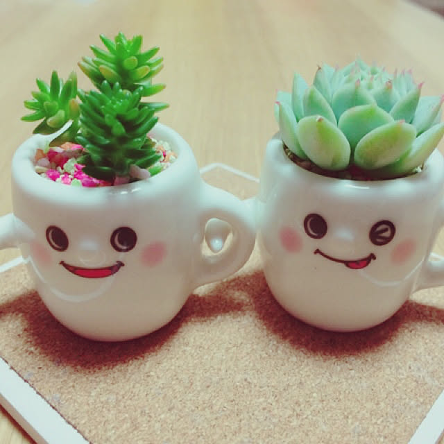 -non-さんの実例写真