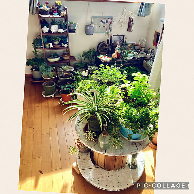 CoCo0617さんの実例写真