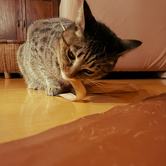 Mさんの実例写真