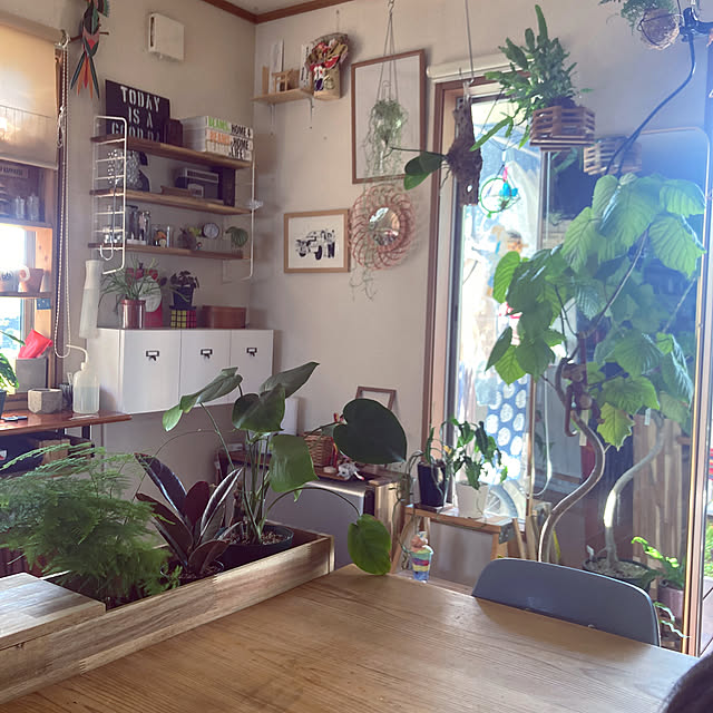 nene0183さんの部屋