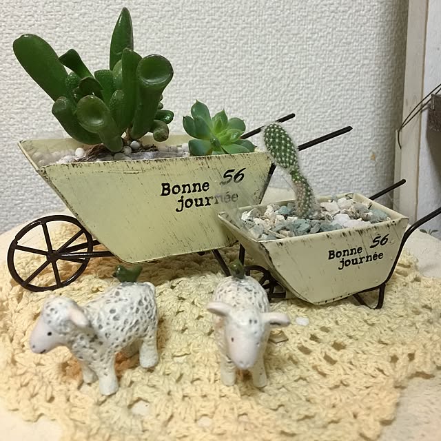 reoreomamaさんの実例写真