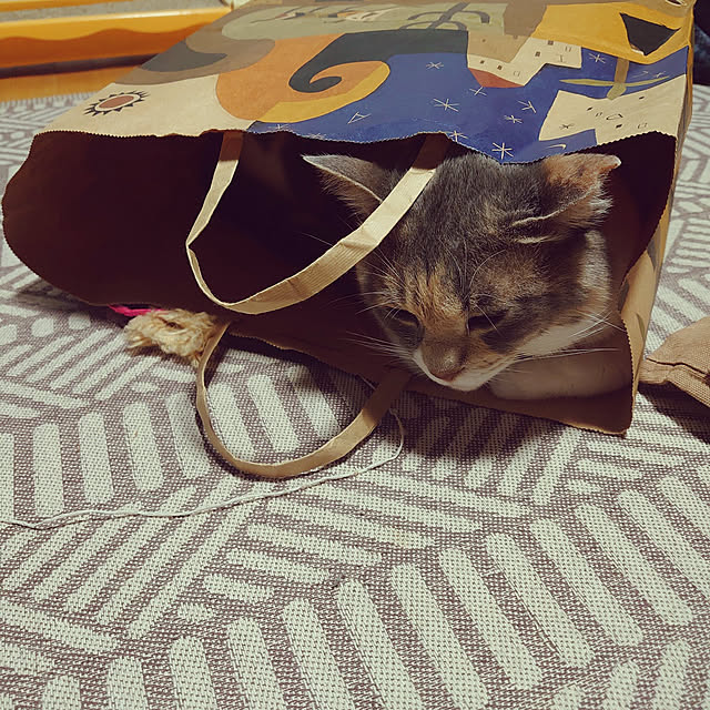 fukuさんの実例写真