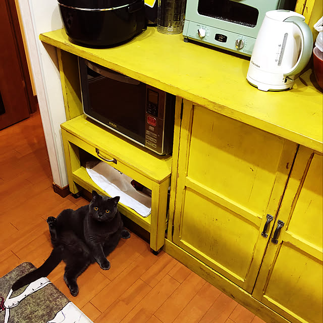 Shojiさんの実例写真