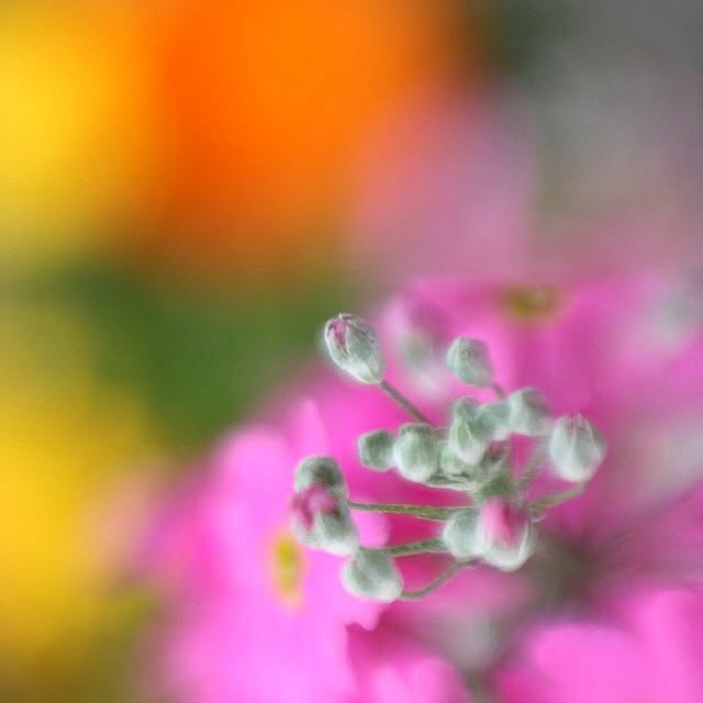 melove324さんの実例写真