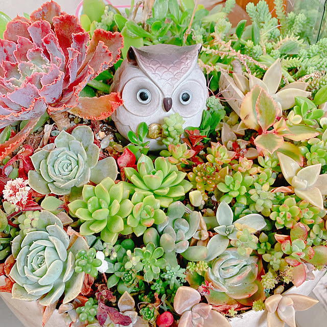 Hanakaさんの実例写真