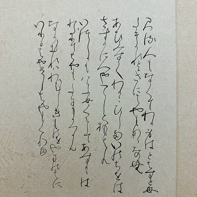 mamizaさんの部屋