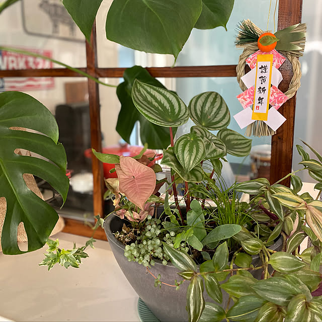 moainanoさんの実例写真