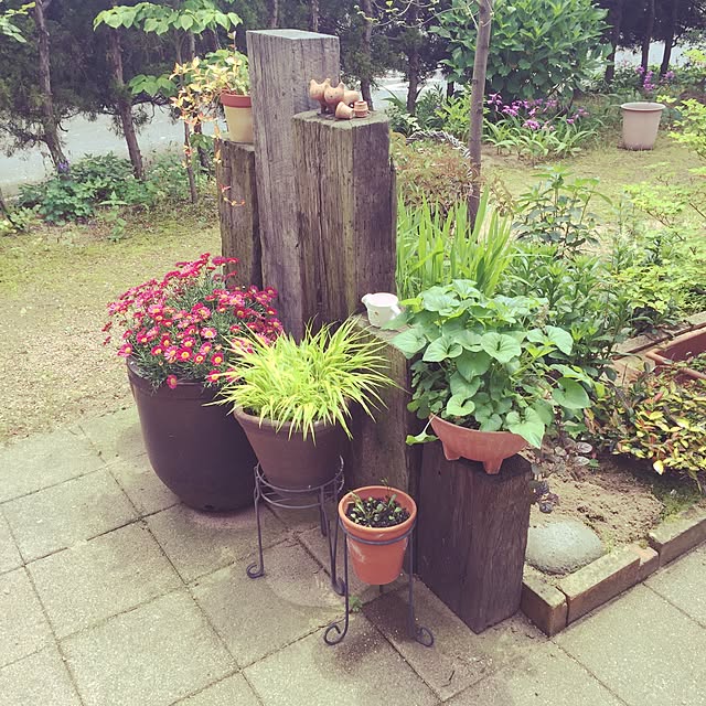 Mayukoさんの実例写真