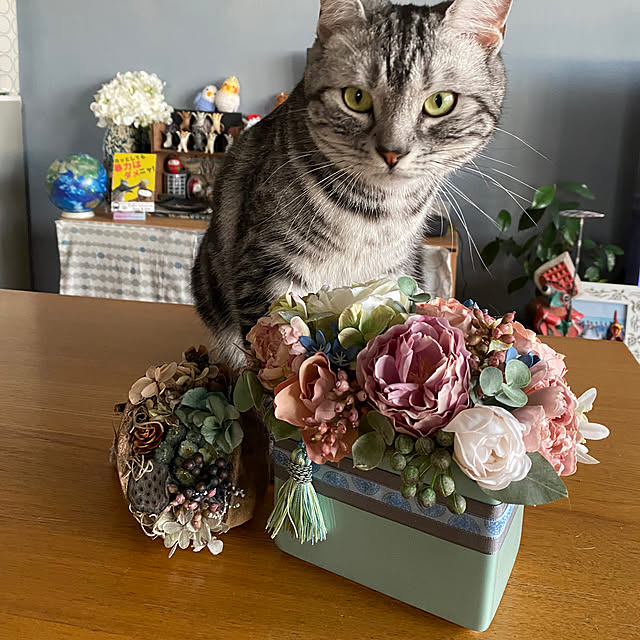 yuzuaoさんの実例写真