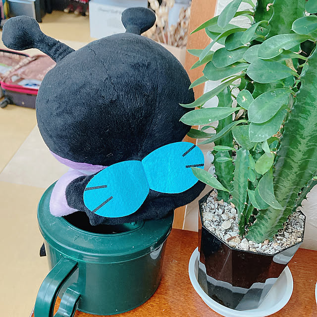 Megumiさんの部屋