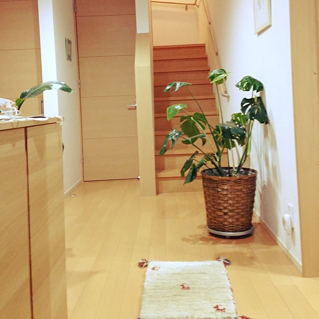 nozomiyaさんの実例写真