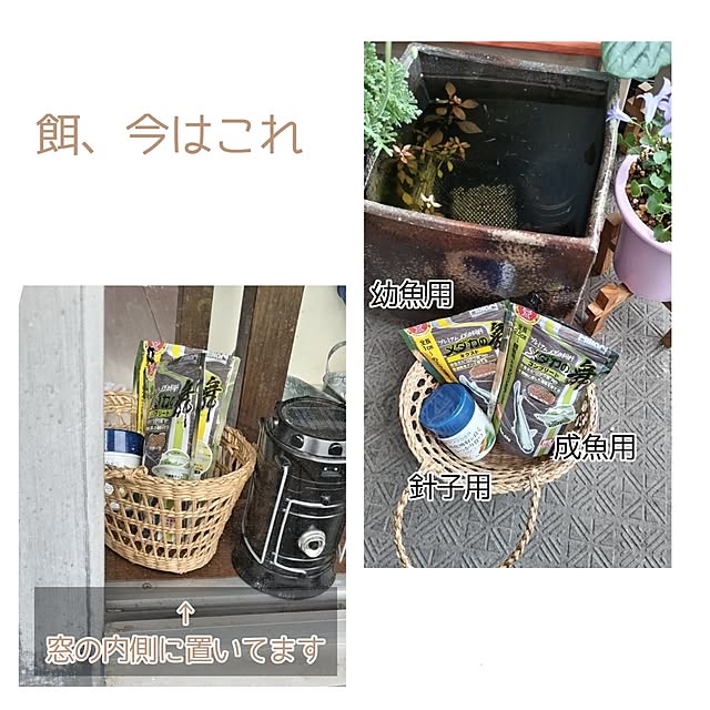 mi-saさんの部屋