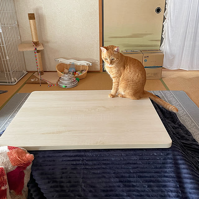 himetanさんの実例写真