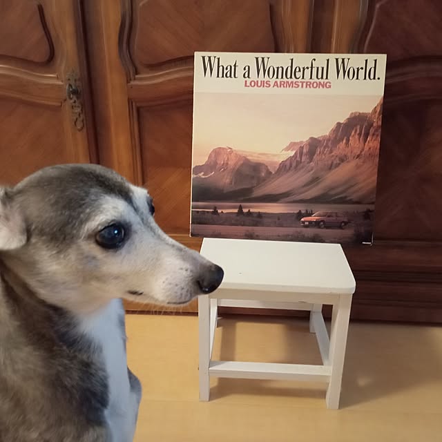moruさんの実例写真