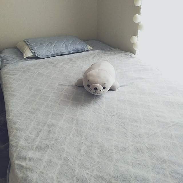 komuさんの実例写真