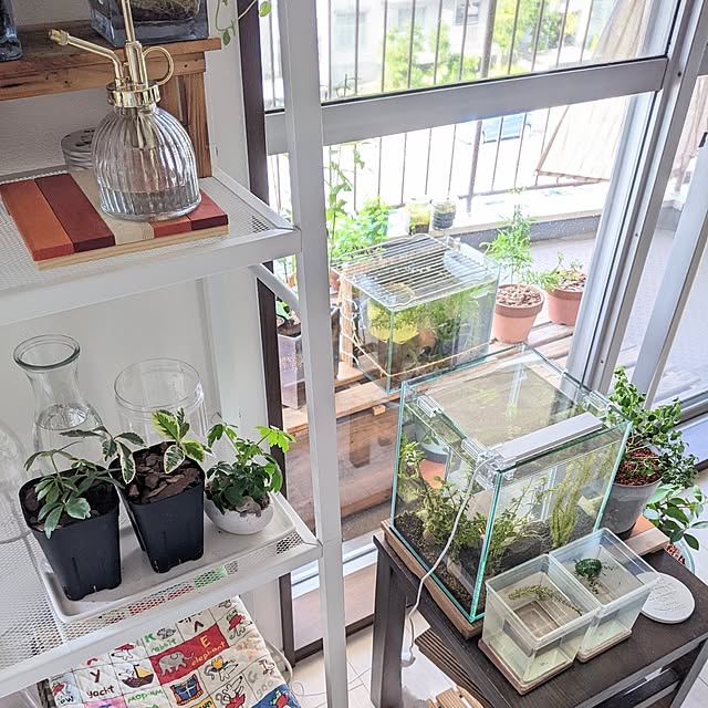 mi-saさんの部屋