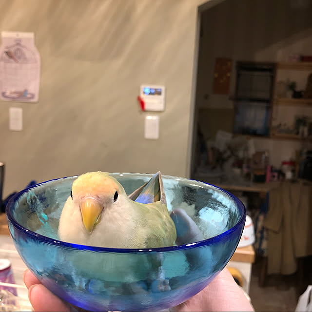 hogeさんの実例写真