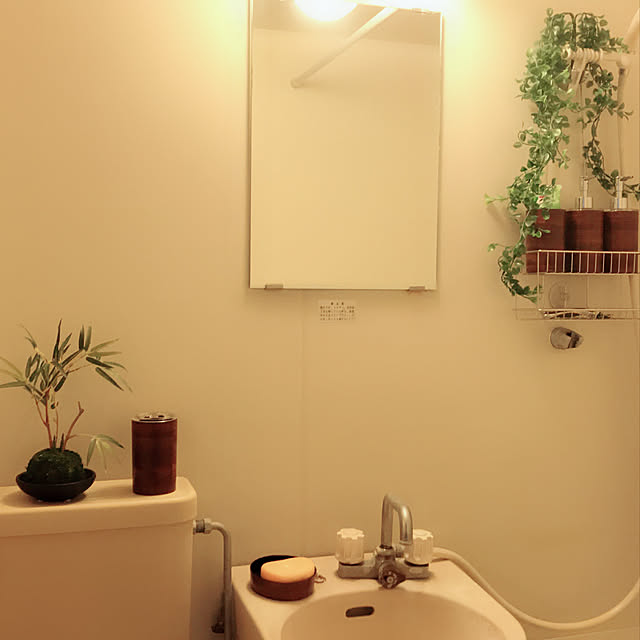 バス/トイレのインテリア実例 - 2017-12-29 23:29:53