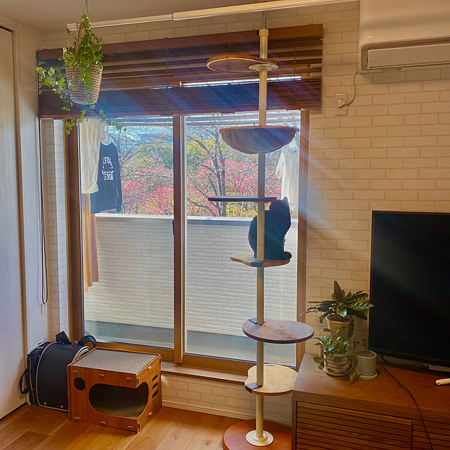 iiiyocoiiiさんの部屋