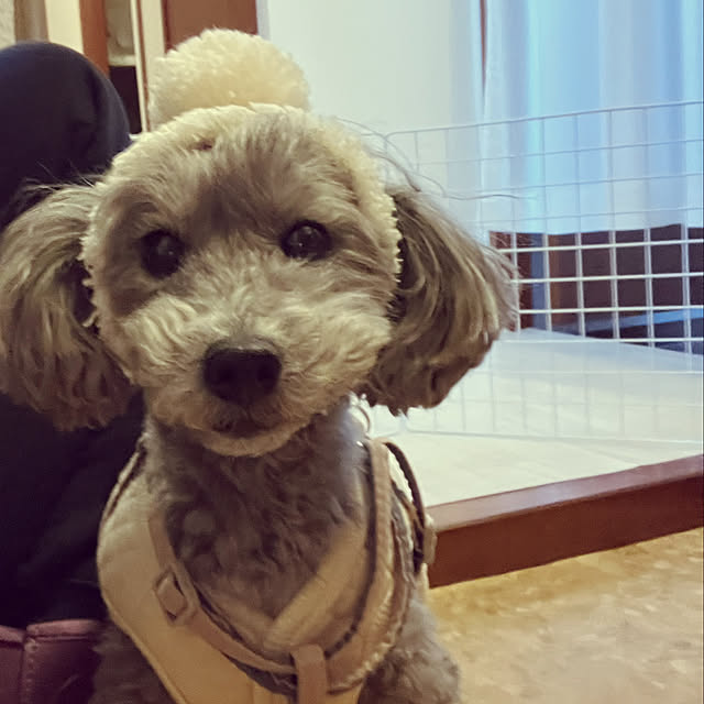 coochanさんの部屋