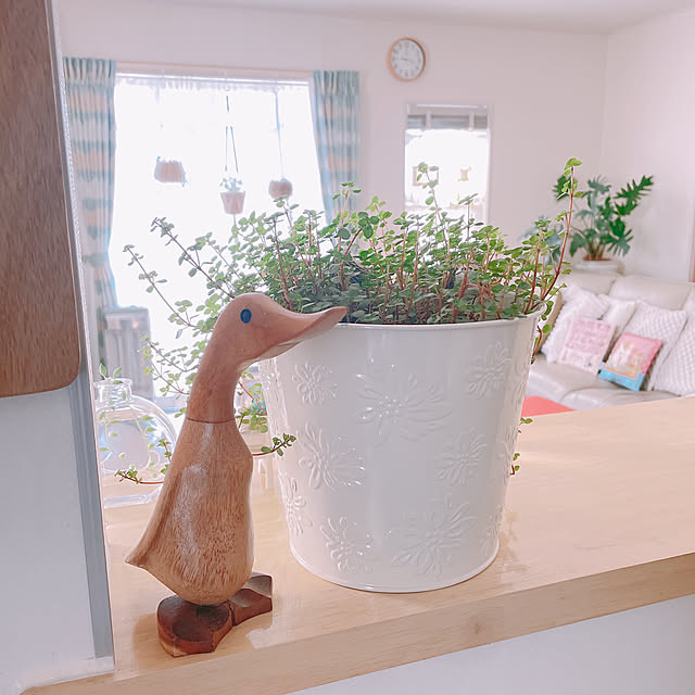 akiko-ovさんの部屋