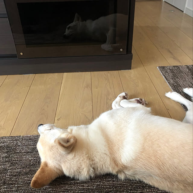tanboさんの実例写真