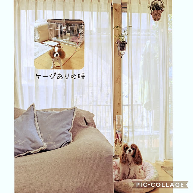 fu-naさんの実例写真