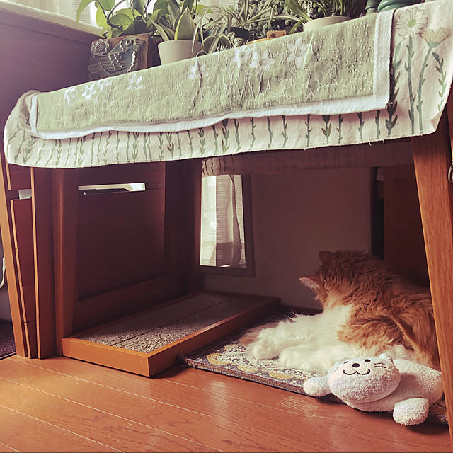 uchidaizuさんの実例写真