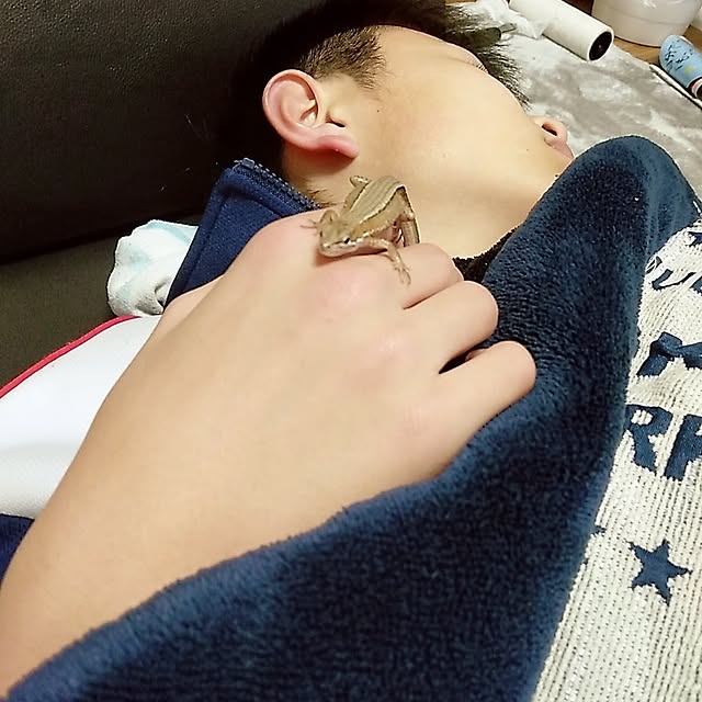 ruantaiさんの実例写真
