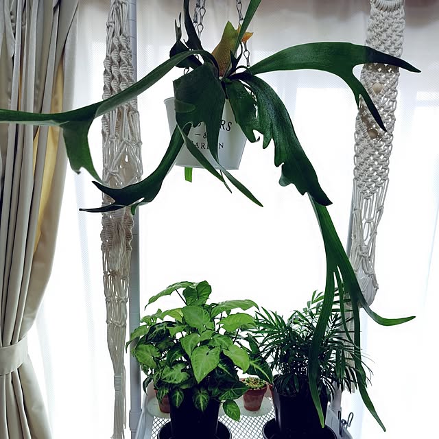 nachiさんの部屋