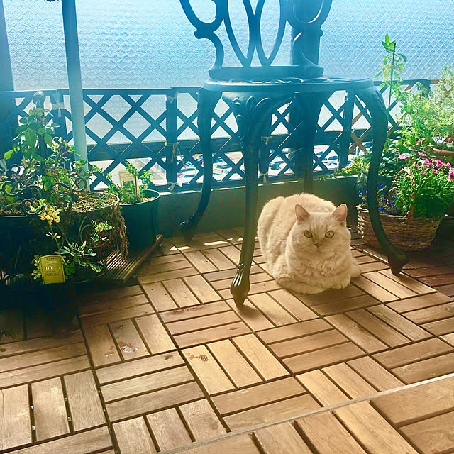 naokoさんの部屋