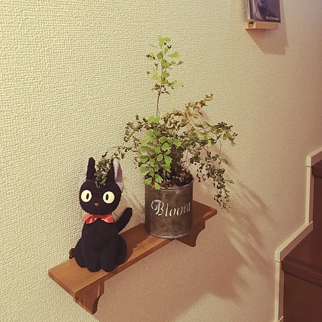 Sotaさんの実例写真
