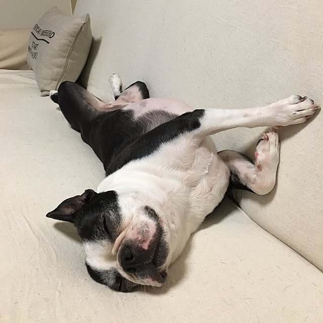 wakameさんの実例写真