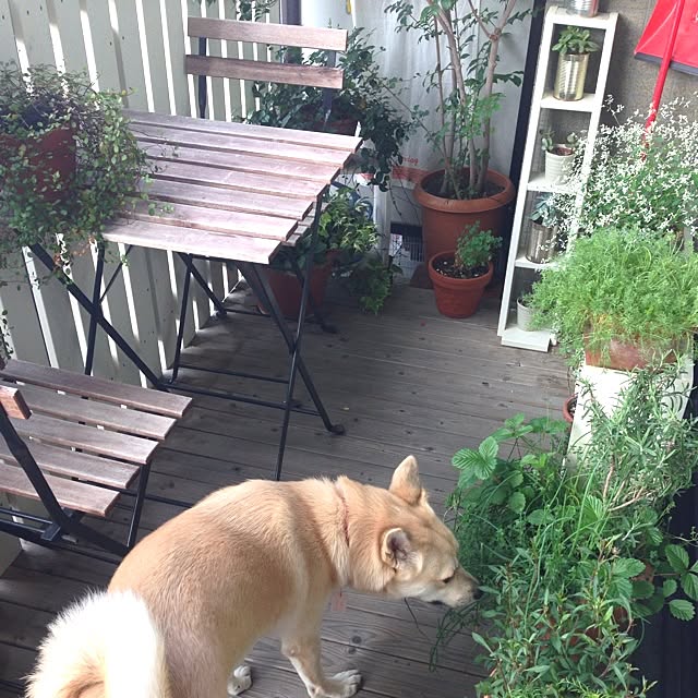 leonaさんの実例写真
