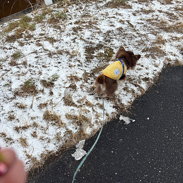 chIoeさんの部屋