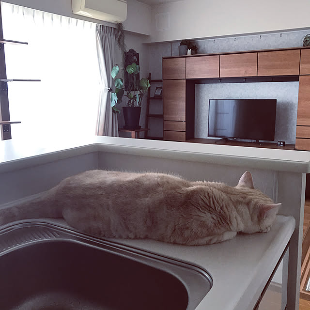 hiyupan88さんの実例写真