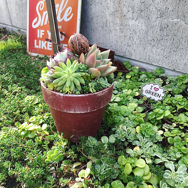 bon-bon-hippieさんの実例写真
