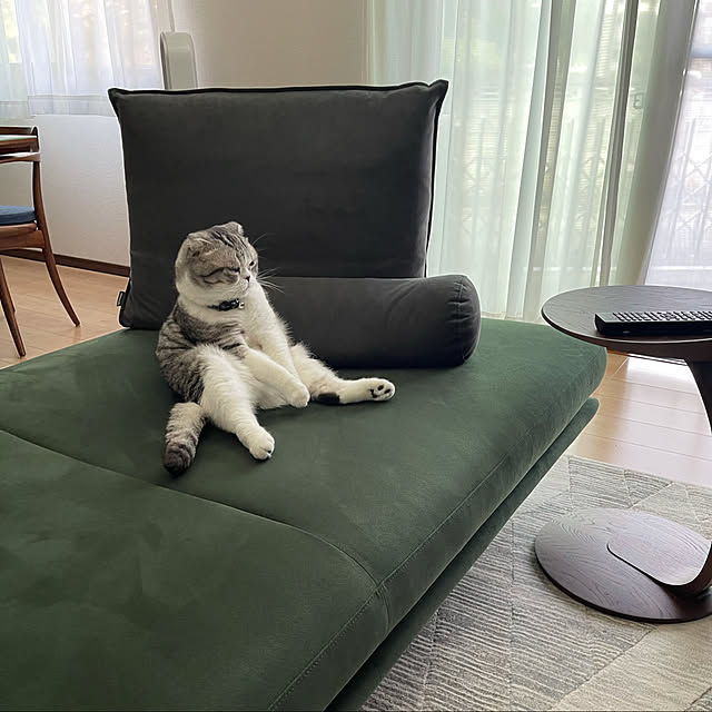 Dahliaさんの実例写真