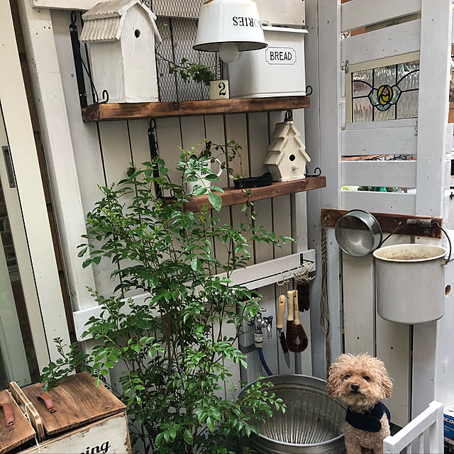 RURULOVEさんの実例写真