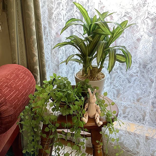 taeさんの部屋