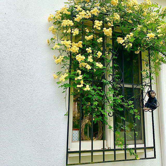 kittyさんの実例写真