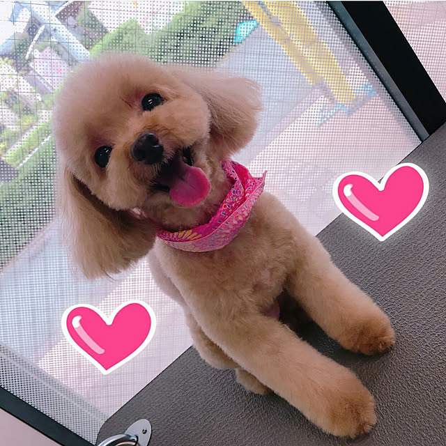 VIORAさんの実例写真