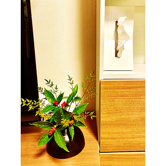kojirotanのDUENDE-DUENDE  STAND ABS ティッシュケースの家具・インテリア写真